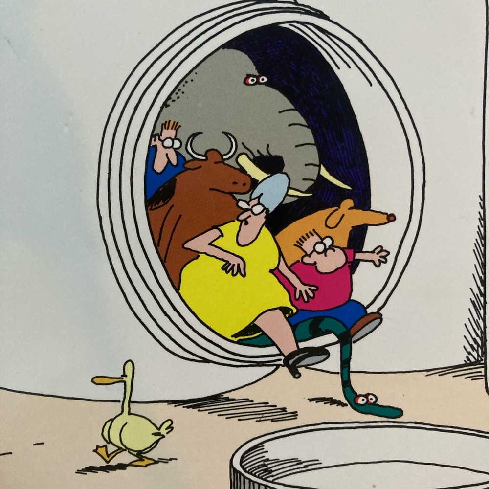 FarSide book bundle 📚 - Picture 5 of 16